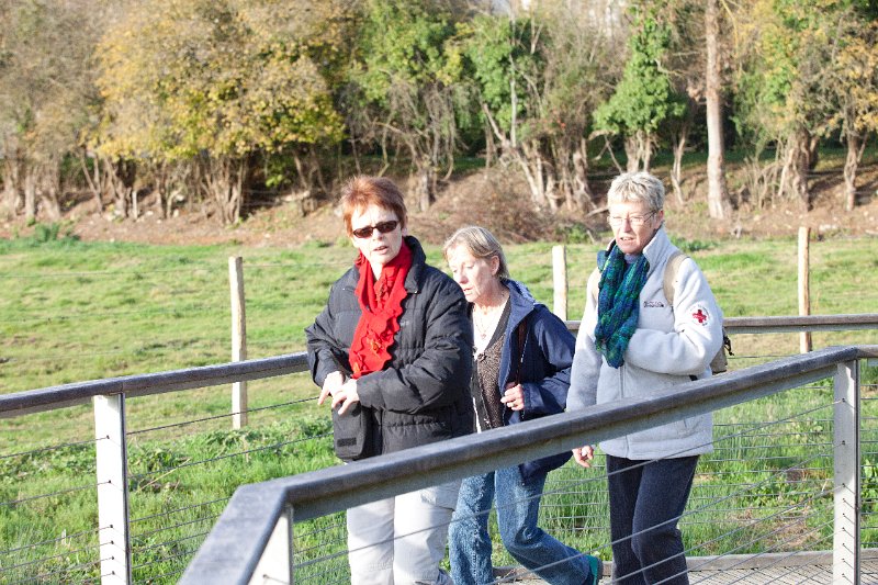 Rando Entre Deux O 2011-2956.jpg